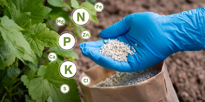 compromiso nutricional